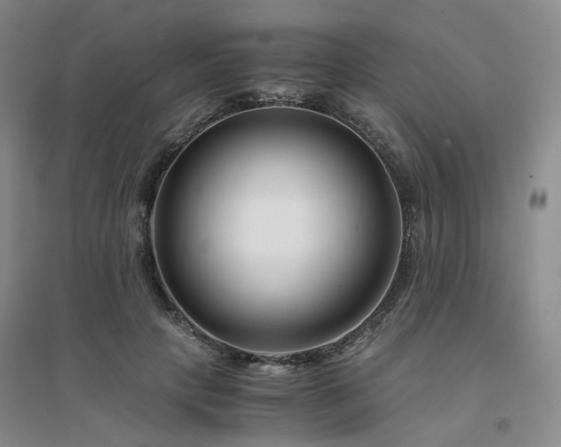 X0000094430649200711151343