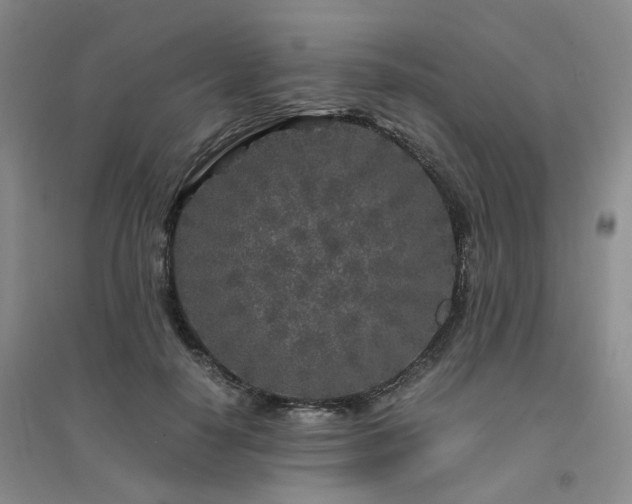 X0000094430650200711151343