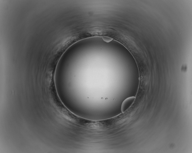 X0000094430652200711151343