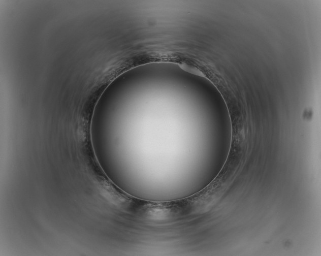 X0000094430658200711151343