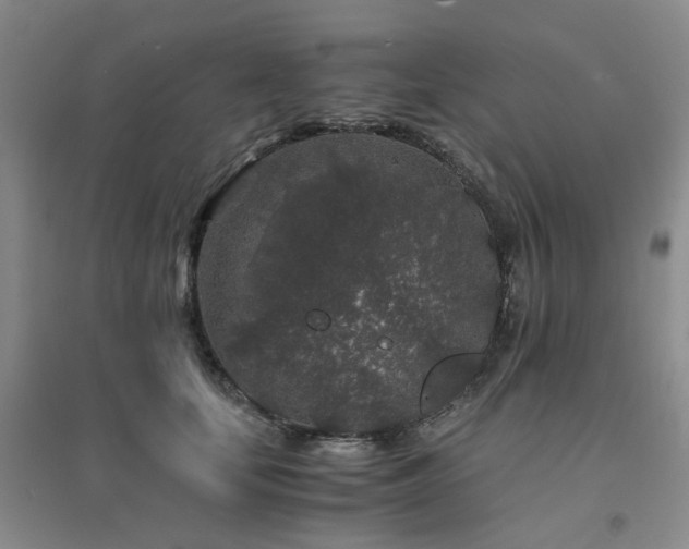 X0000094430659200711151343