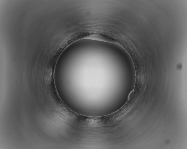 X0000094430660200711151343