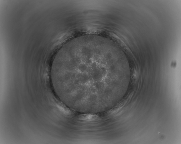 X0000094430663200711151343
