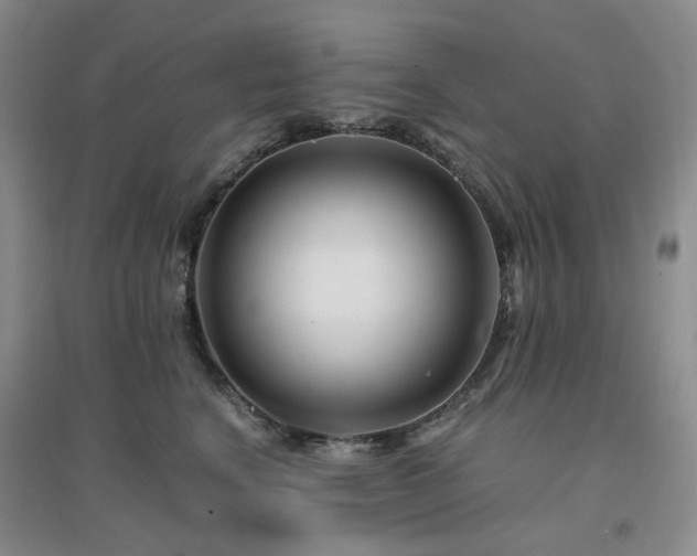 X0000094430664200711151343