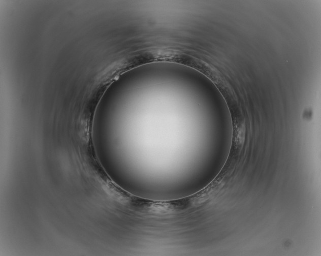X0000094430666200711151343