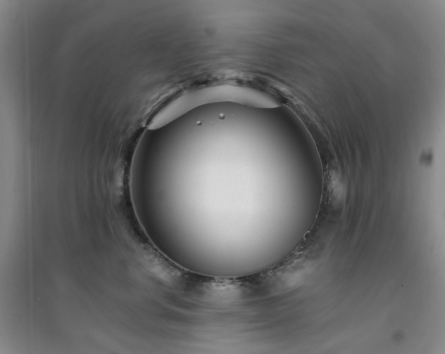 X0000094430668200711151343