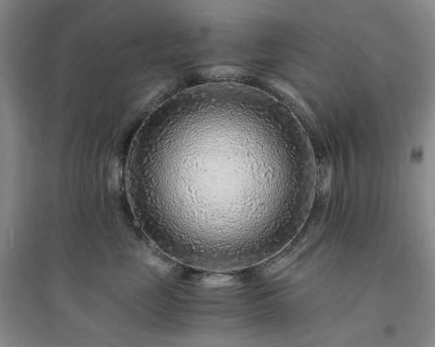 X0000094430669200711151343