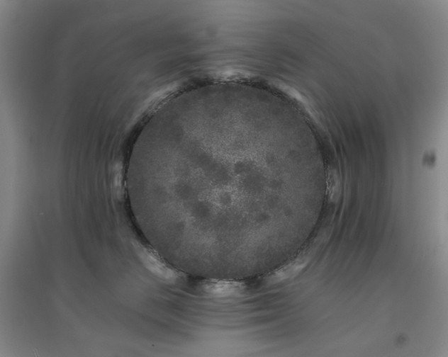 X0000094430670200711151343