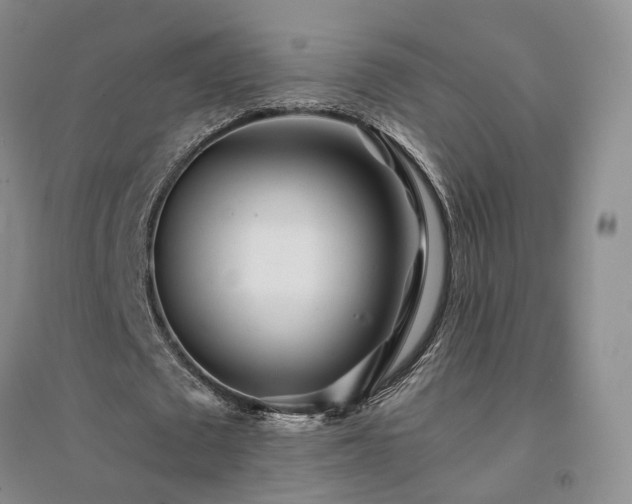 X0000094430673200711151342