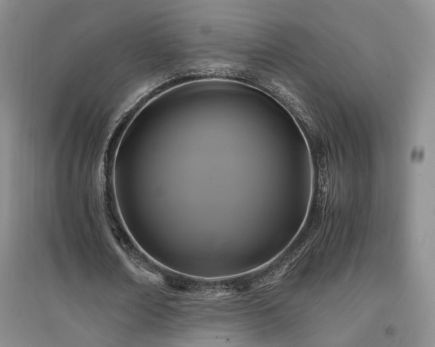 X0000094430674200711151342