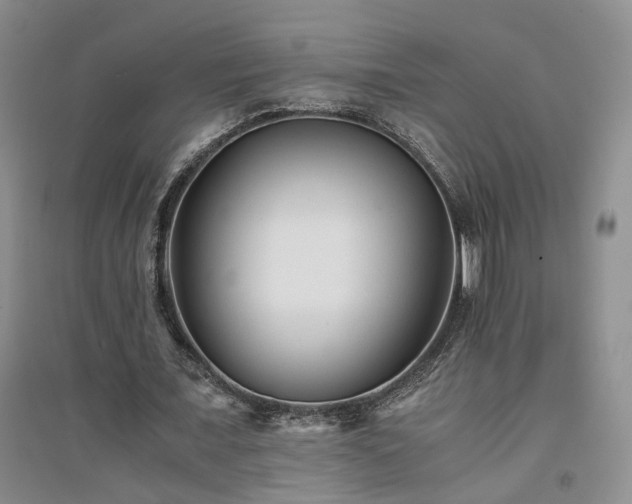 X0000094430675200711151342