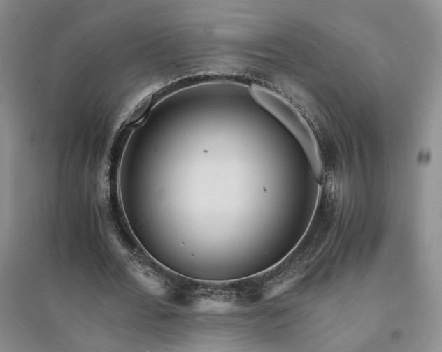 X0000094430676200711151342