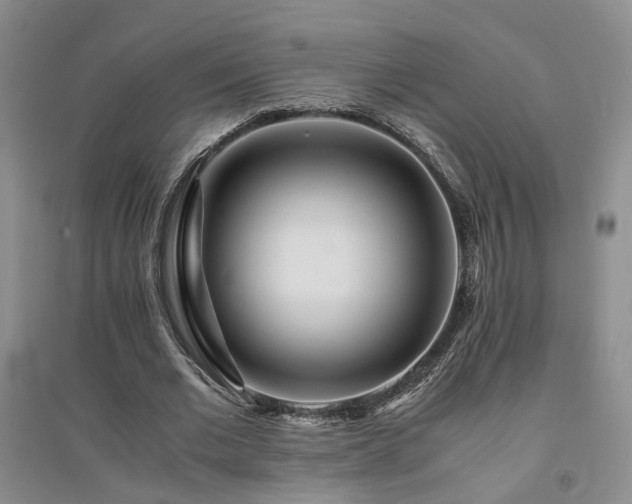 X0000094430677200711151342