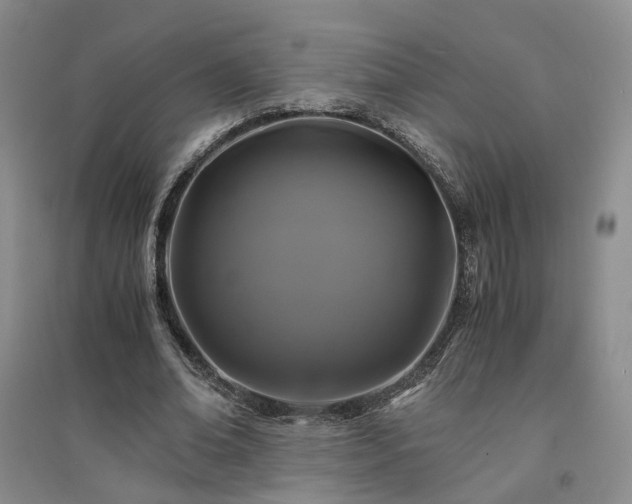 X0000094430678200711151342