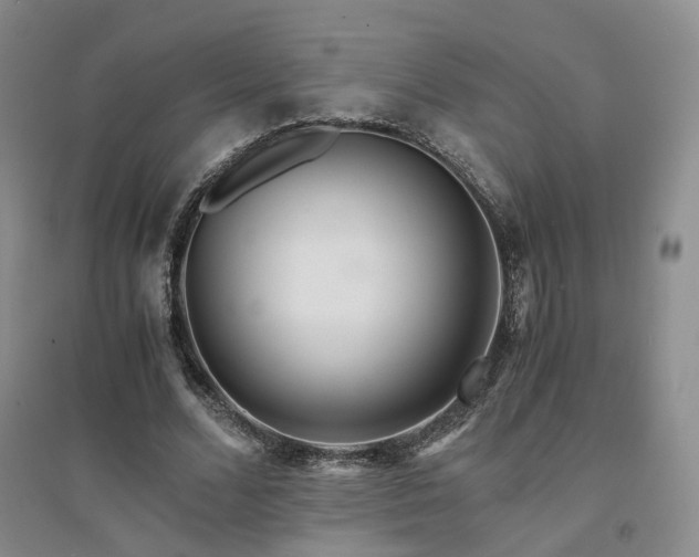 X0000094430680200711151342