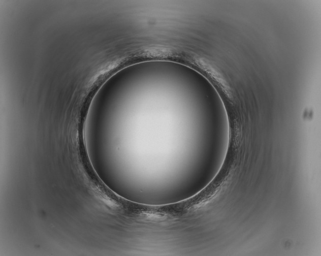 X0000094430681200711151342