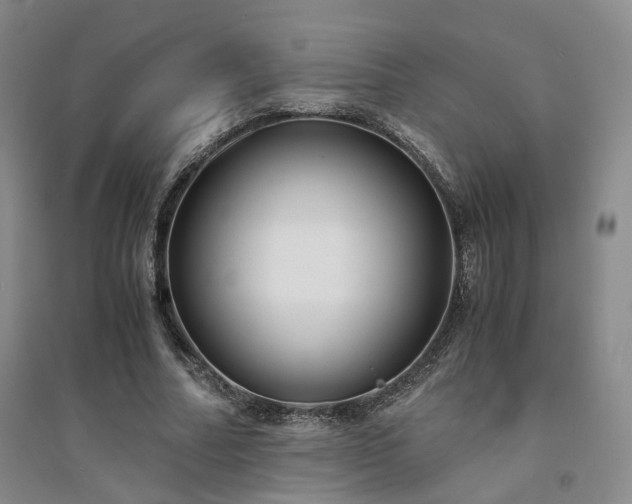 X0000094430682200711151342