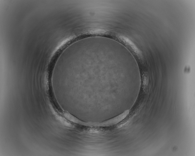 X0000094430684200711151342