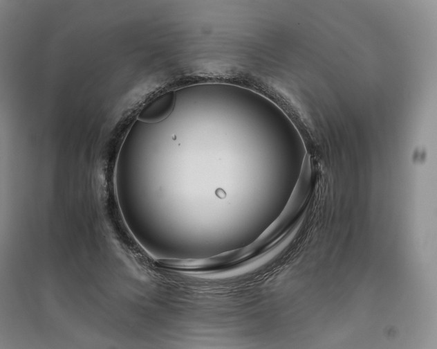 X0000094430688200711151342