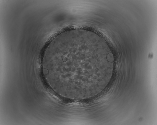 X0000094430691200711151342