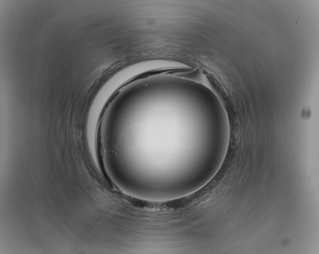X0000094430693200711151342