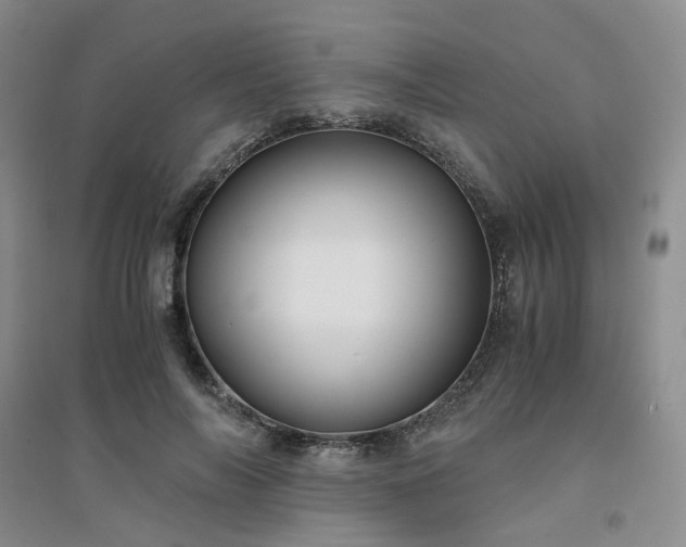 X0000094430694200711151342