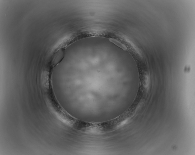 X0000094430696200711151342