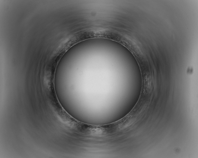 X0000094430698200711151342