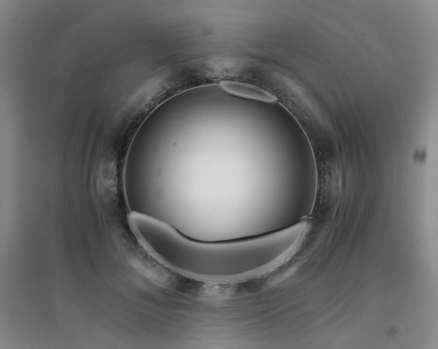 X0000094430700200711151342