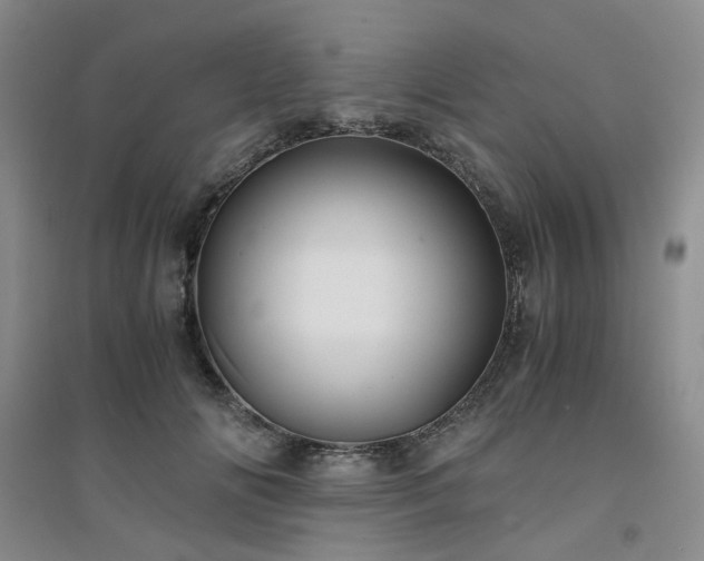 X0000094430702200711151342