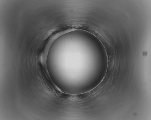 X0000094430704200711151342