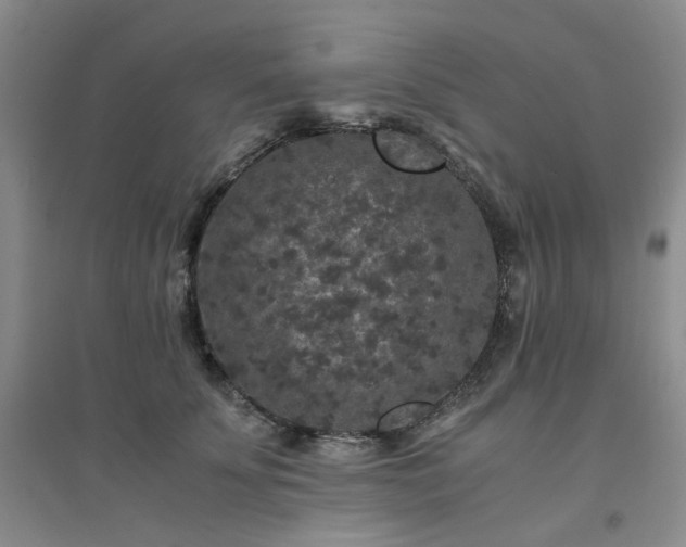 X0000094430707200711151342