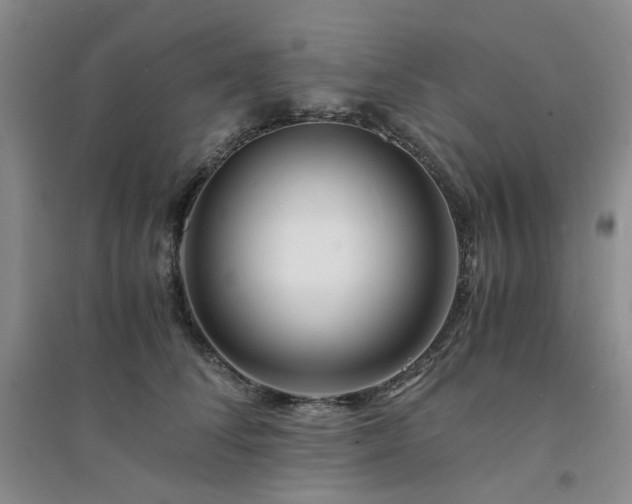 X0000094430708200711151342