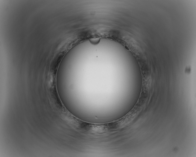 X0000094430709200711151342