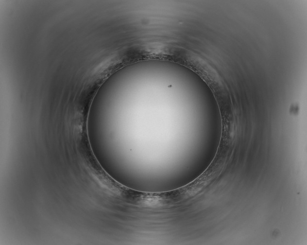 X0000094430710200711151342