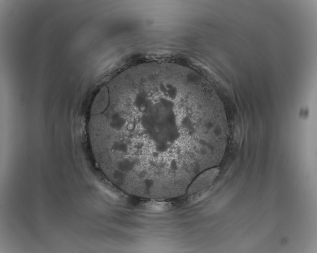 X0000094430711200711151342