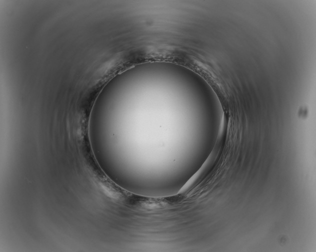 X0000094430712200711151342
