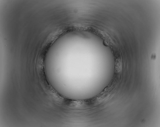X0000094430713200711151342