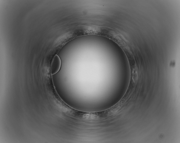 X0000094430714200711151342