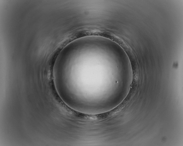 X0000094430715200711151342