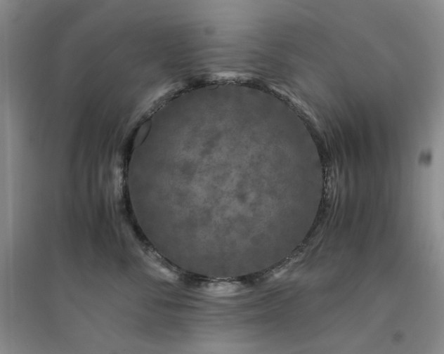 X0000094430716200711151342