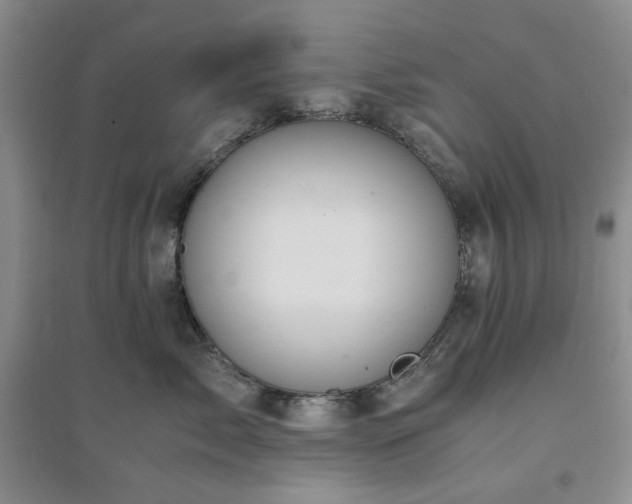 X0000094430717200711151342