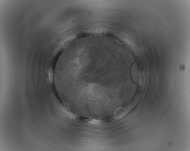 X0000094430718200711151342