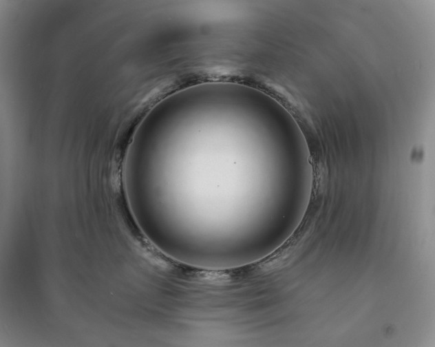 X0000094430719200711151342