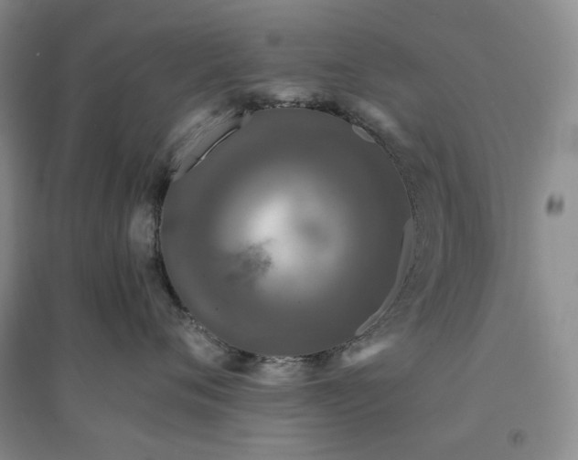 X0000094430720200711151342