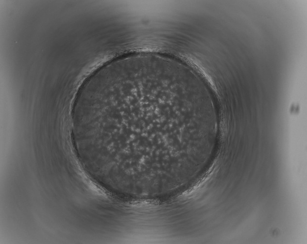 X0000094430721200711151341