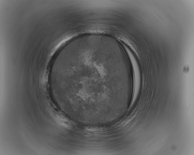 X0000094430723200711151341