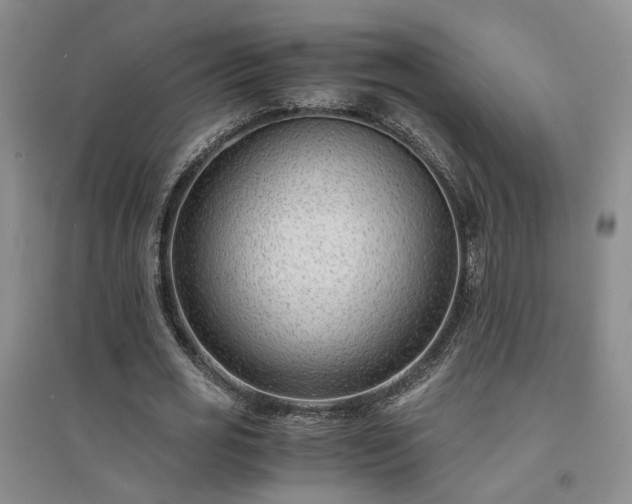 X0000094430725200711151341