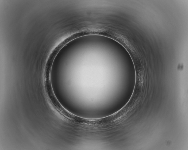 X0000094430726200711151341