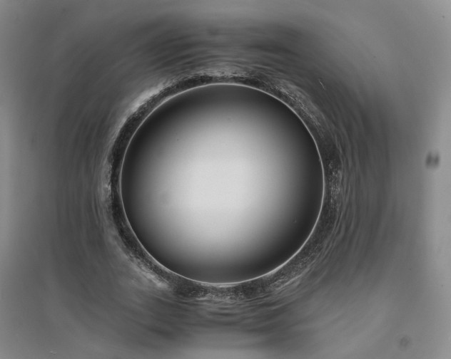 X0000094430727200711151341